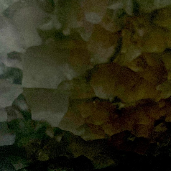 Meet your Posher, Josephine - Picture 1 of 1